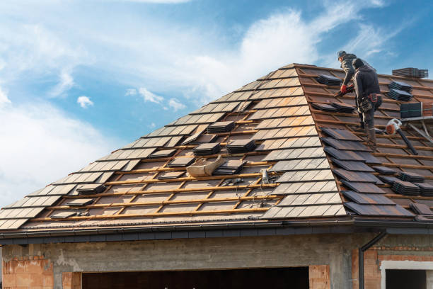 Best Roofing for New Construction  in Fredonia, NY