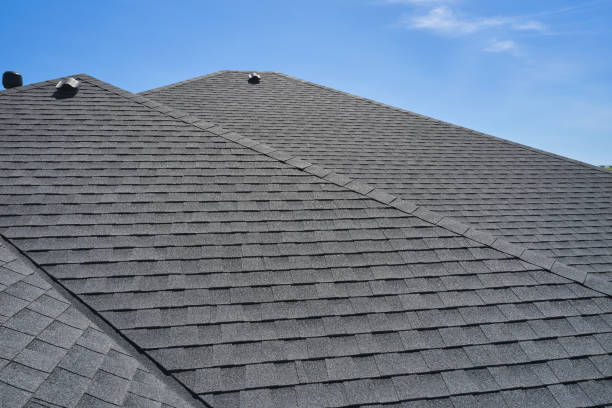 Best Solar Panel Roofing Installation  in Fredonia, NY