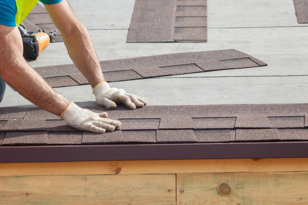 Best Siding  in Fredonia, NY